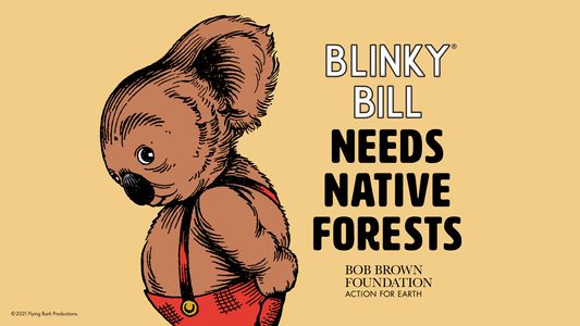 Koalas Need Native Forests by Bob Brown Foundation - Pozible