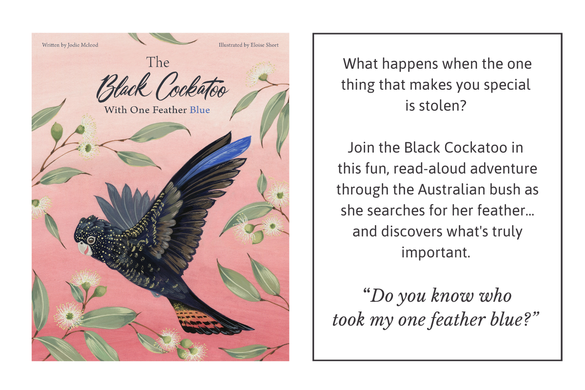 The Black Cockatoo by Jodie McLeod Pozible